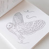 Detailed owl illustration on a coloring book page