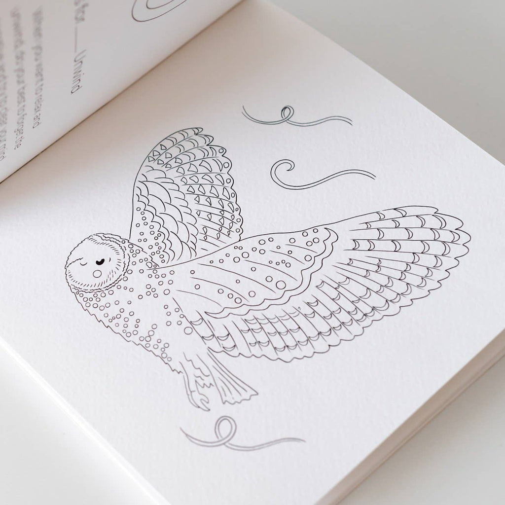 Detailed owl illustration on a coloring book page