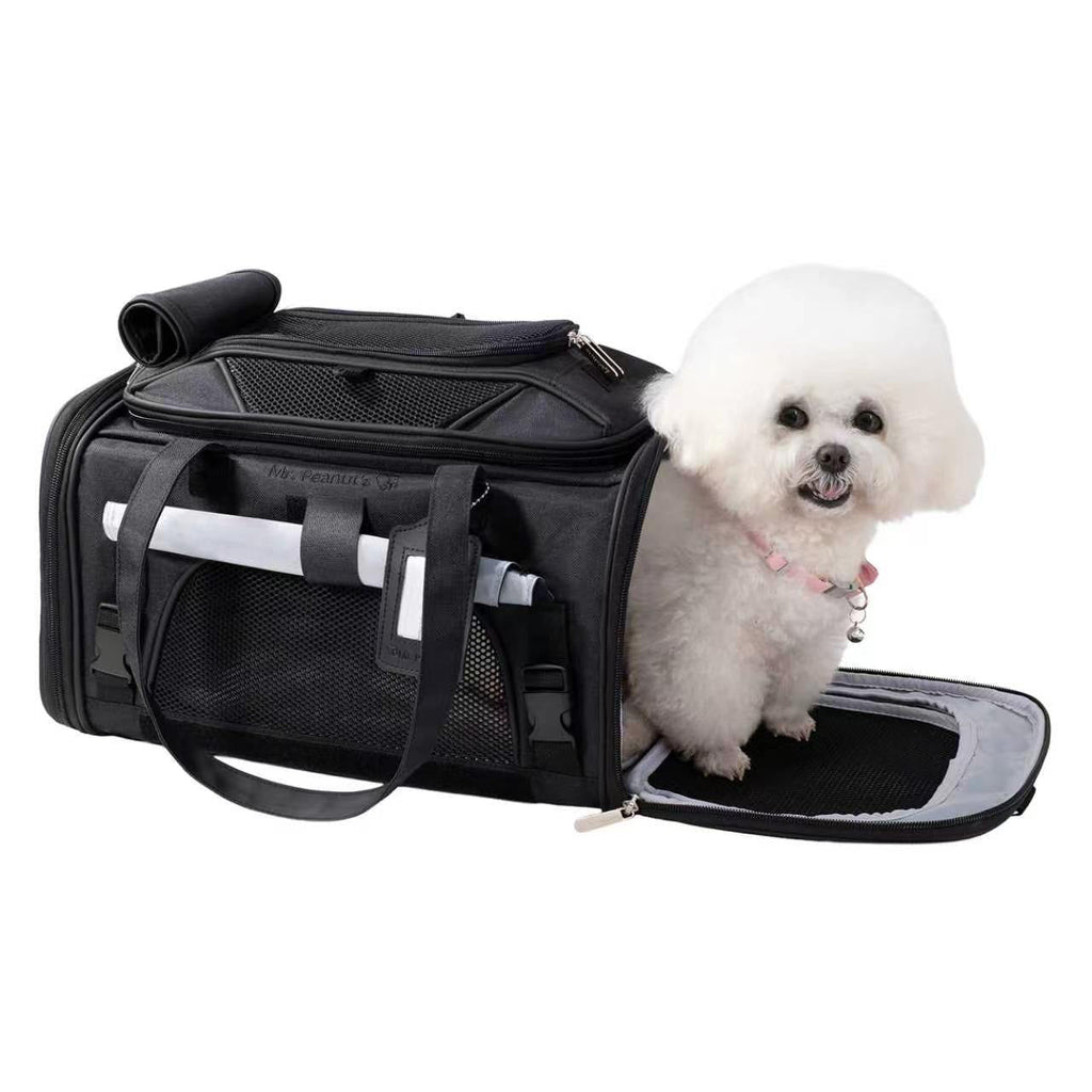 A black pet carrier bag with a white fluffy dog sitting inside on a white background.