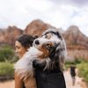 Person carrying a dog in a backpack with desert landscape in the background