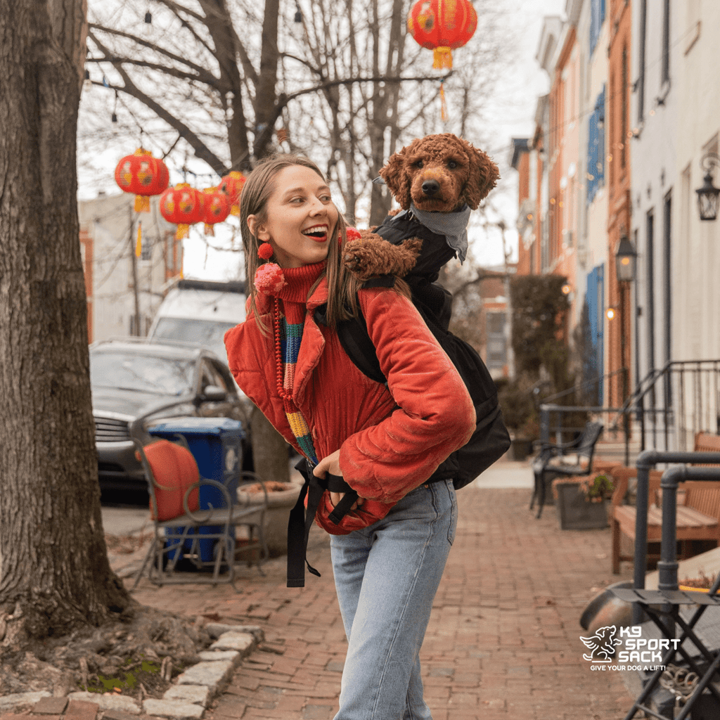 Woman in orange jacket carrying a dog on a leash in an urban street setting with red lanterns.