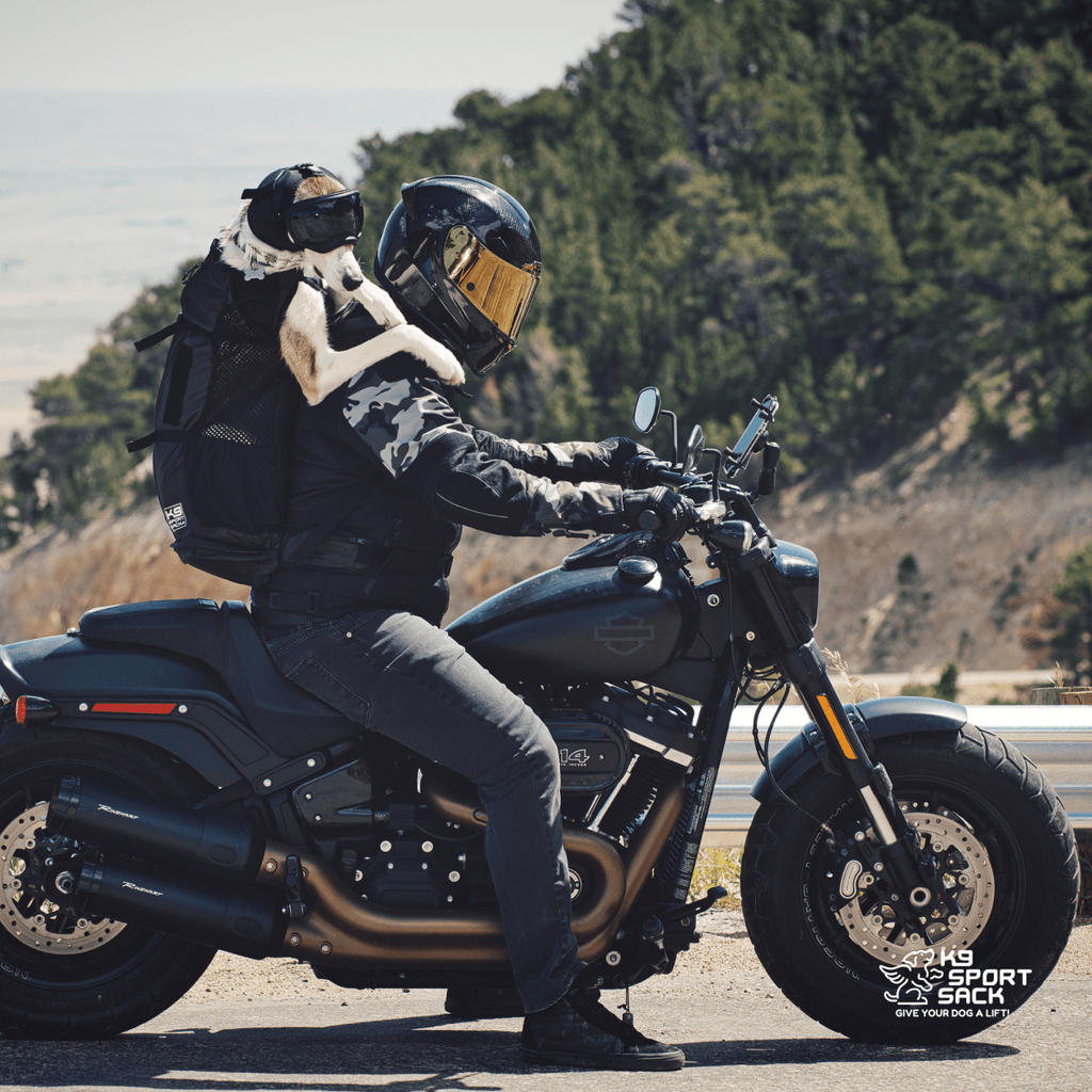 Person riding a motorcycle with a dog on their shoulders, surrounded by nature.