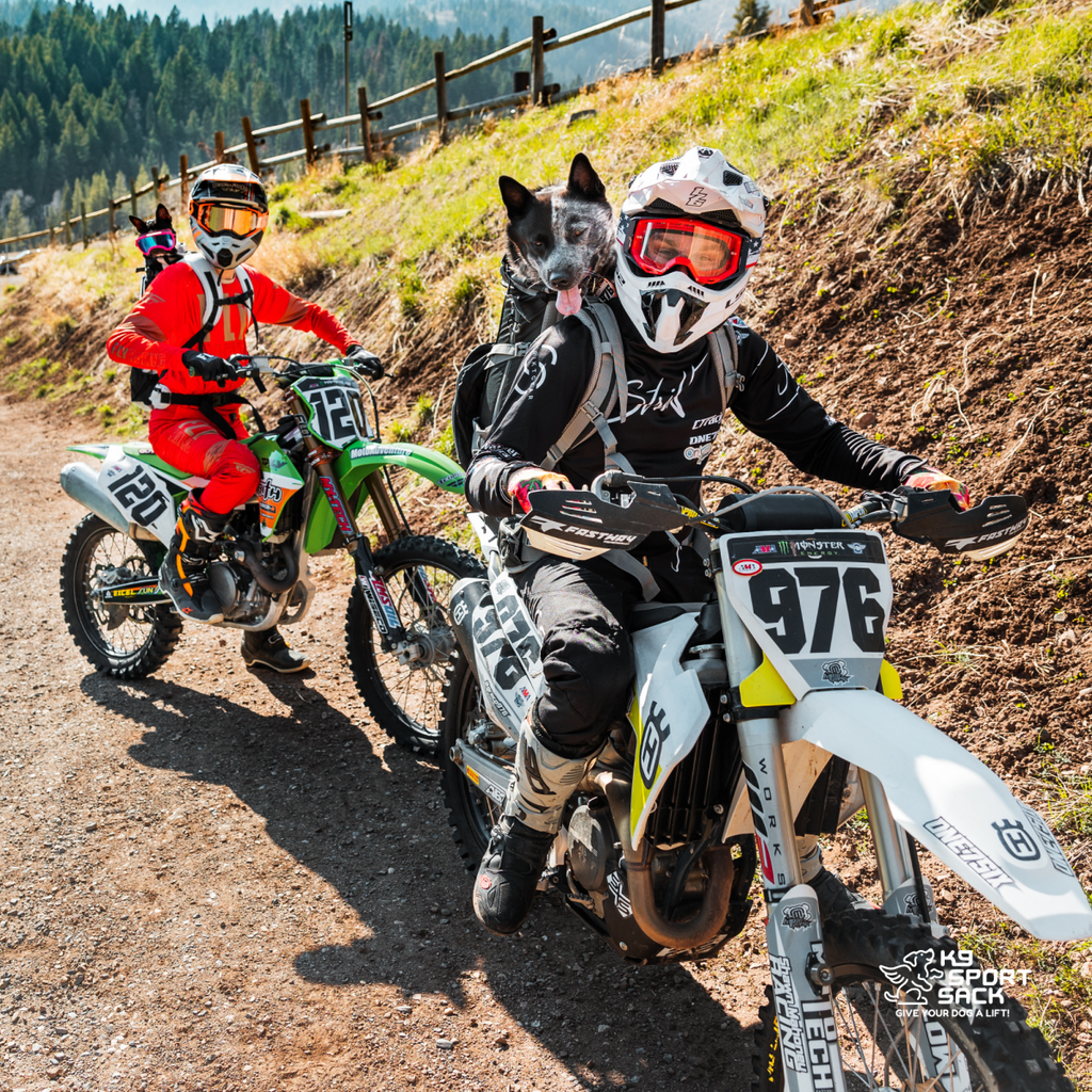 Two dirt bike riders on a trail with a dog, surrounded by a natural landscape.