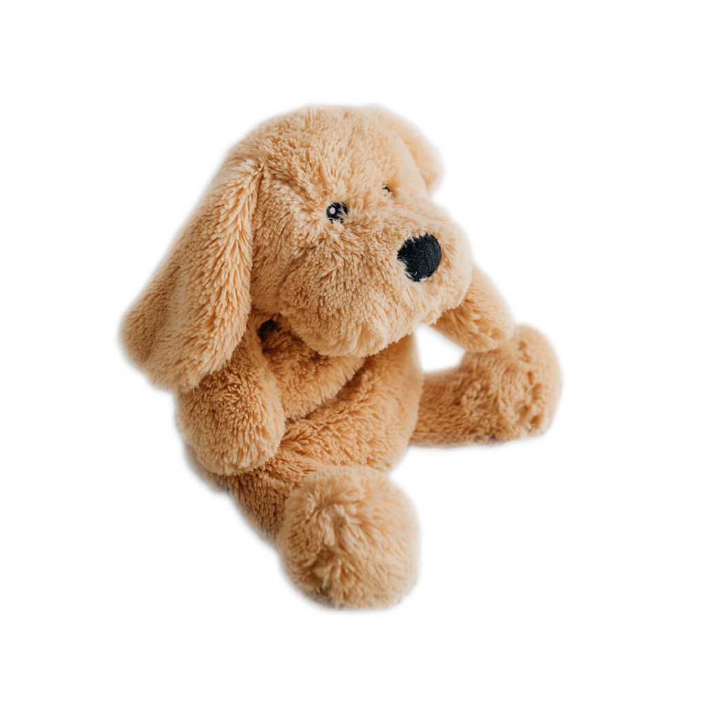 Plush dog toy on a white background