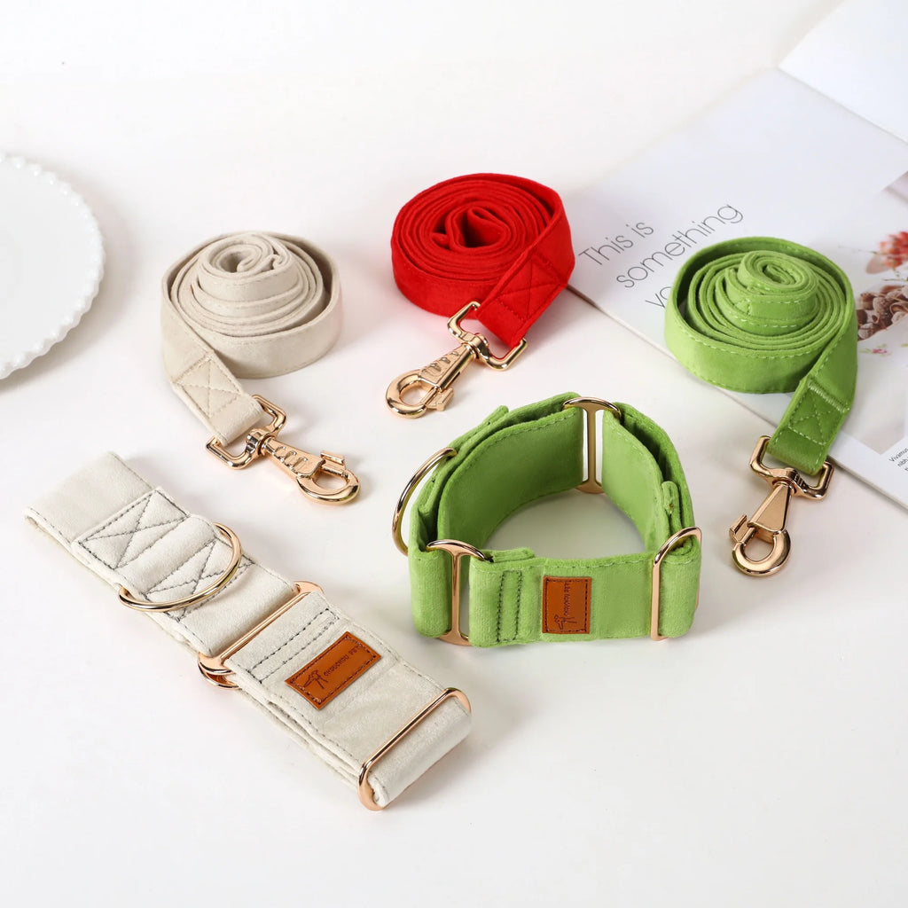 Set of dog leashes and collars in beige, red, and green on a white surface.
