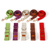 Set of colorful dog leashes and collars on a white background