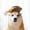 Dog with boredom toy