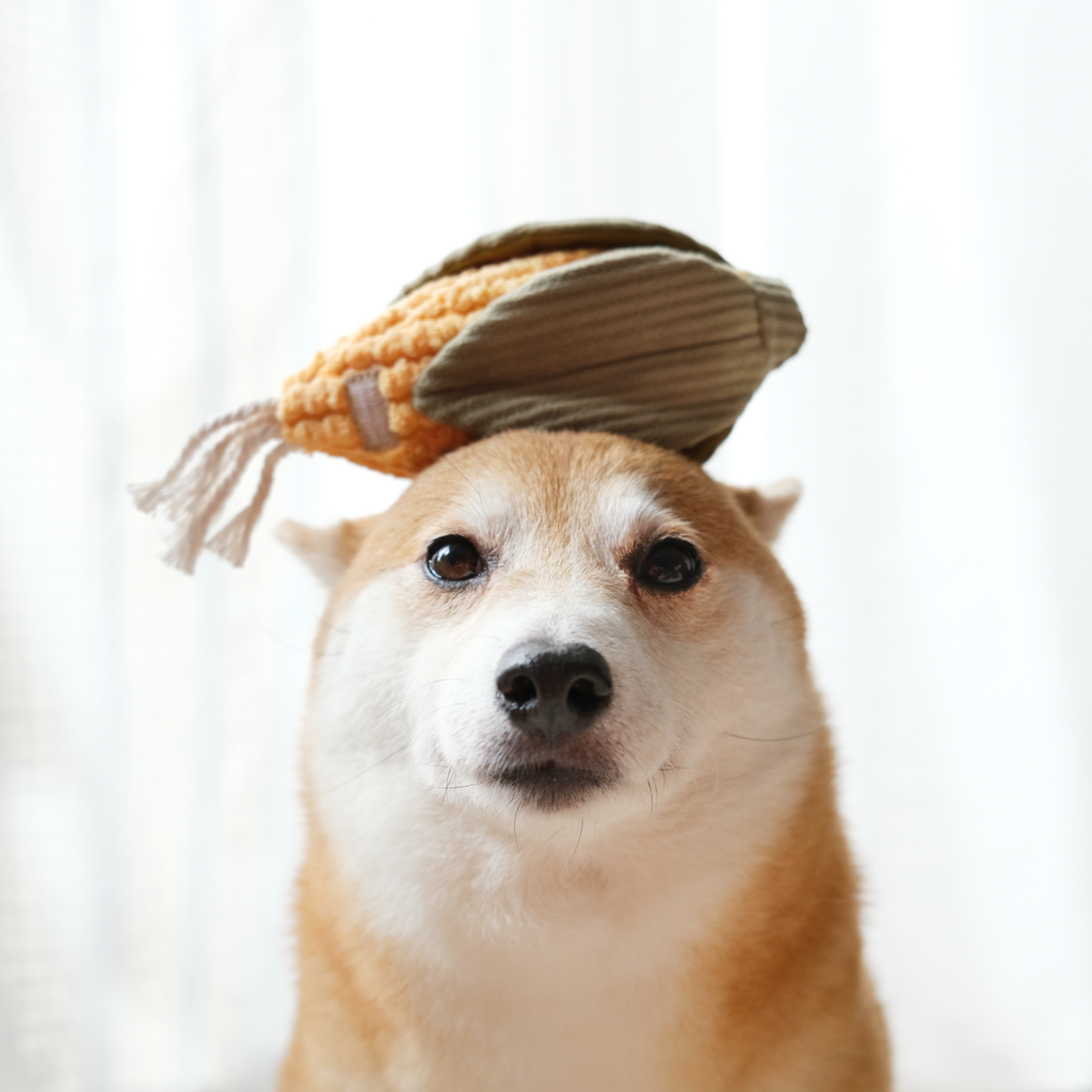 Dog with boredom toy