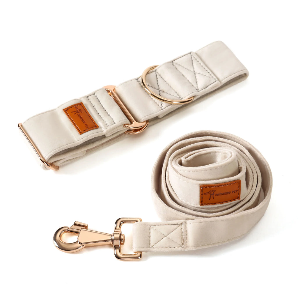 Dog leash and collar set with beige leather accents on a white background