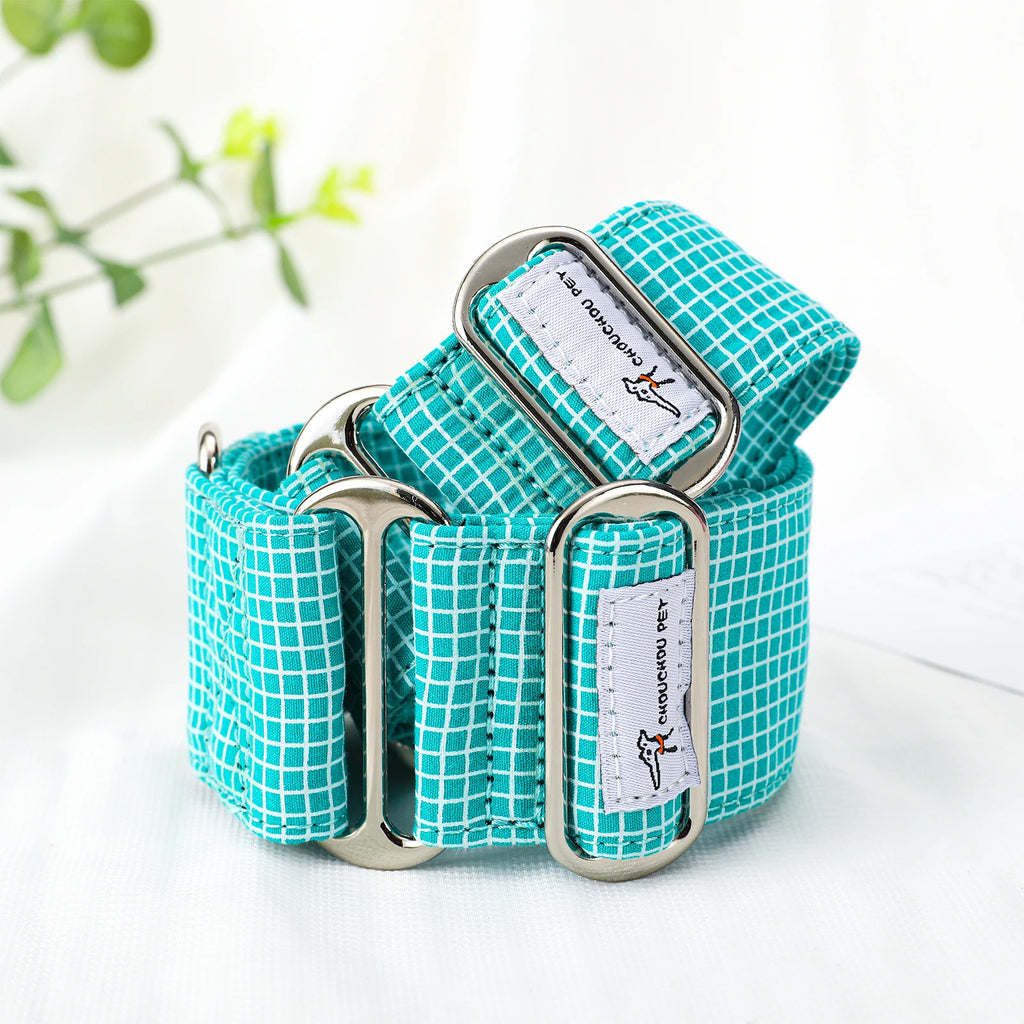 A turquoise and white grid-patterned dog collar with silver metal hardware, shown coiled on a white fabric background with a soft-focus green plant in the corner.