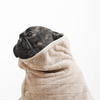 Dog wrapped in a beige towel on a white background