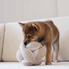 Dog playing with a snuffle plush ball on a light-colored couch