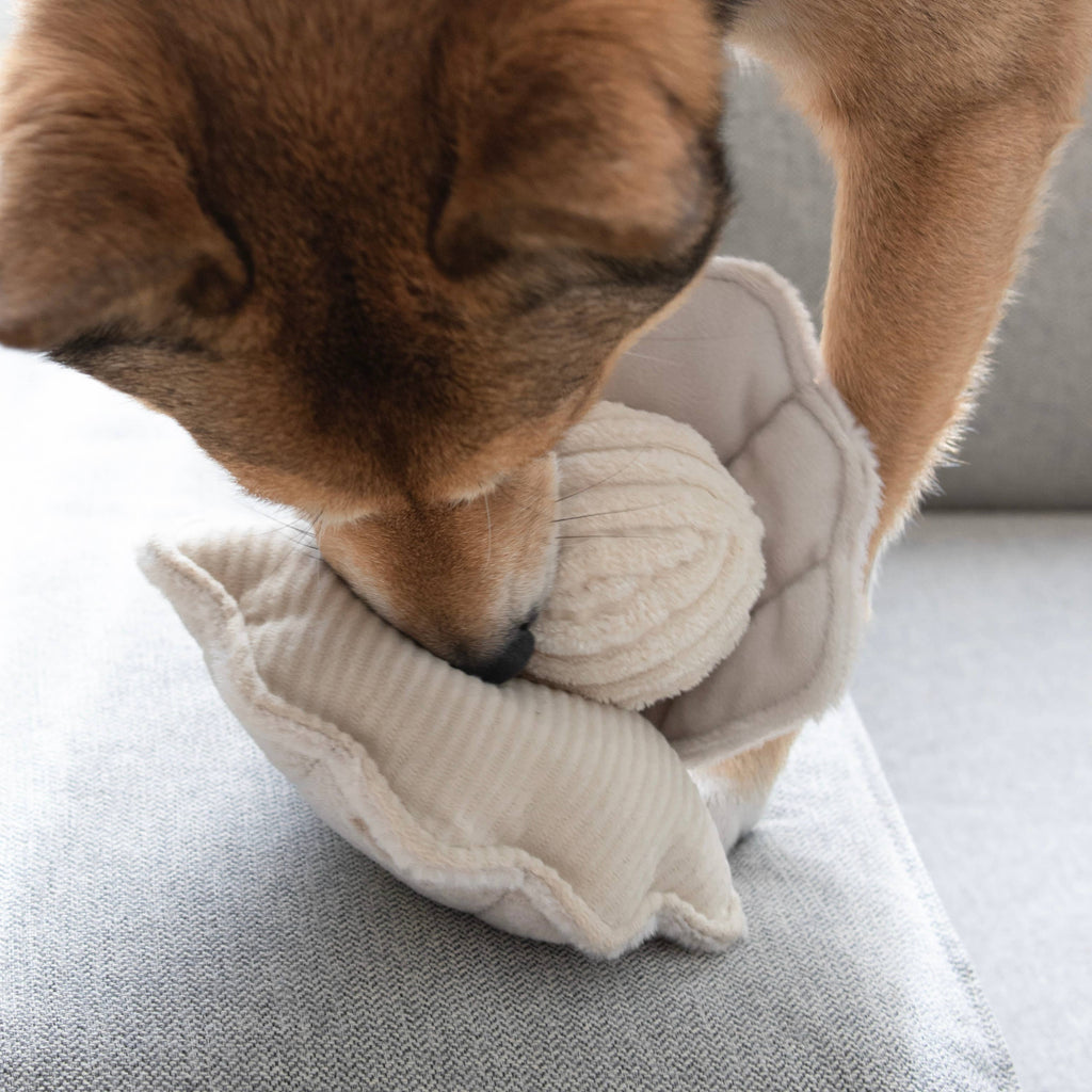 Dog playing with a textured ball in a plush toy shell