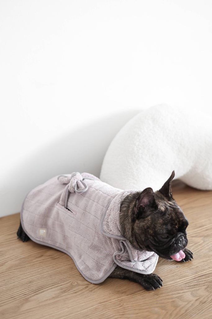 Dog wearing a bath towel on a wooden floor with a white wall in the background