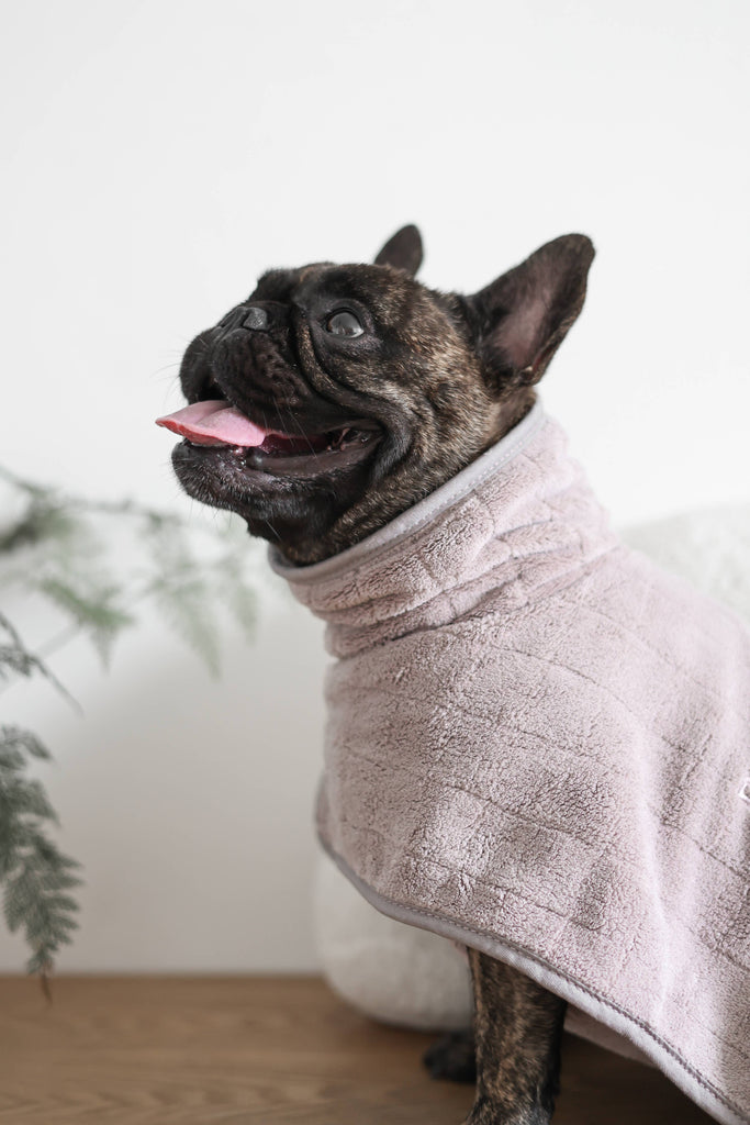 Dog wrapped in a dog towel with a blurred background