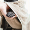 Person holding a dog's paw under a beige dog towel