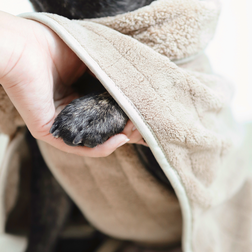 Person holding a dog's paw under a beige dog towel