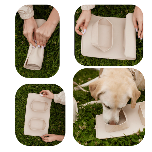 Maxbone's Go! Portable Bowls. &nbsp;Get ready to GO! anywhere conveniently with our silicone collapsible food bowl. It features two bowls, one for food and one for water. This double bowl is perfect for taking your dog outside to eat and drink. 