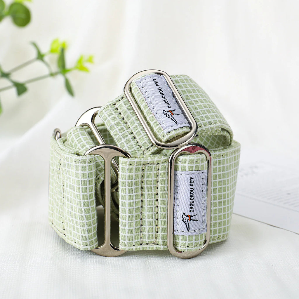 Green checkered dog collar with metal buckle on a white background
