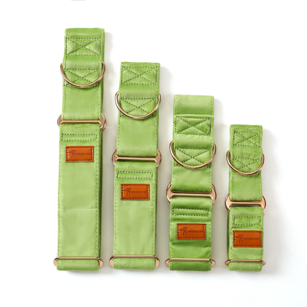 Set of green dog collars with gold hardware on a white background