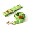 Green dog leash and collar set with gold hardware on a white background