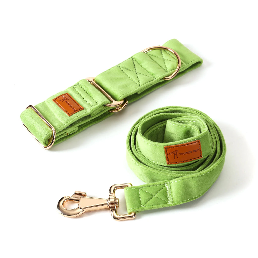 Green dog leash and collar set with gold hardware on a white background