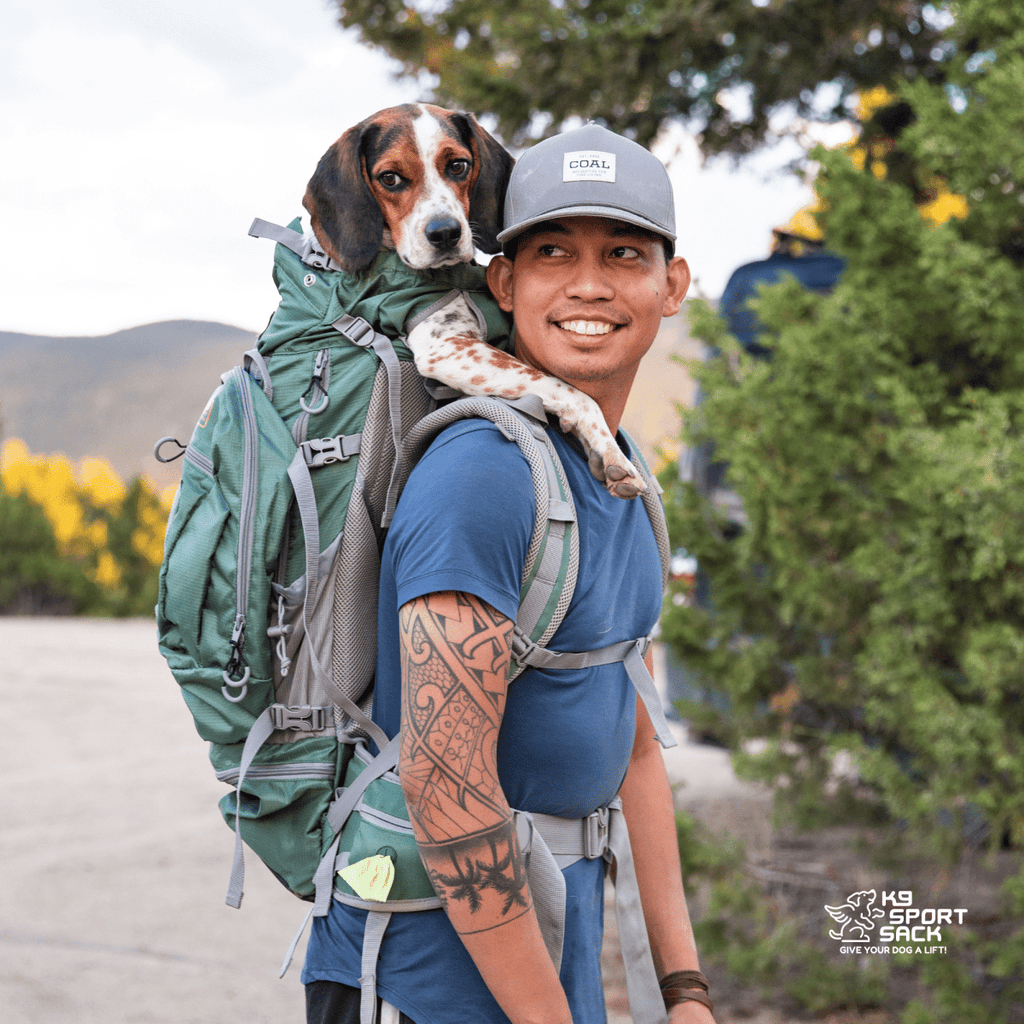Man hiking with a dog in a backpack on his shoulders, surrounded by nature.