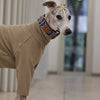 Dog wearing a beige sweater and patterned collar indoors