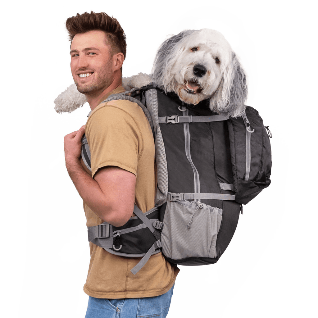 Man wearing a dog backpack with a fluffy white dog on a white background