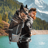 Man carrying a dog in a backpack with a mountainous landscape in the background