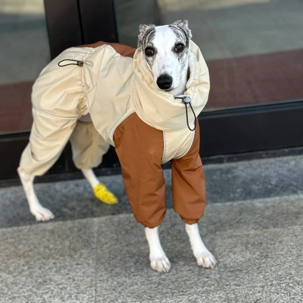 Dog wearing waterproof fleece lined jumpsuit