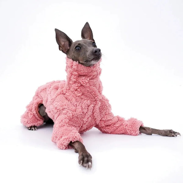Featuring micro bullet elastic for a great fit, this 4-legged wonder is perfect for chilly autumn and winter days. Made with soft polyester material and available in beautiful powder pink or teal green, your Italian Greyhound or Whippet will be strutting in style.  Free Shipping. 