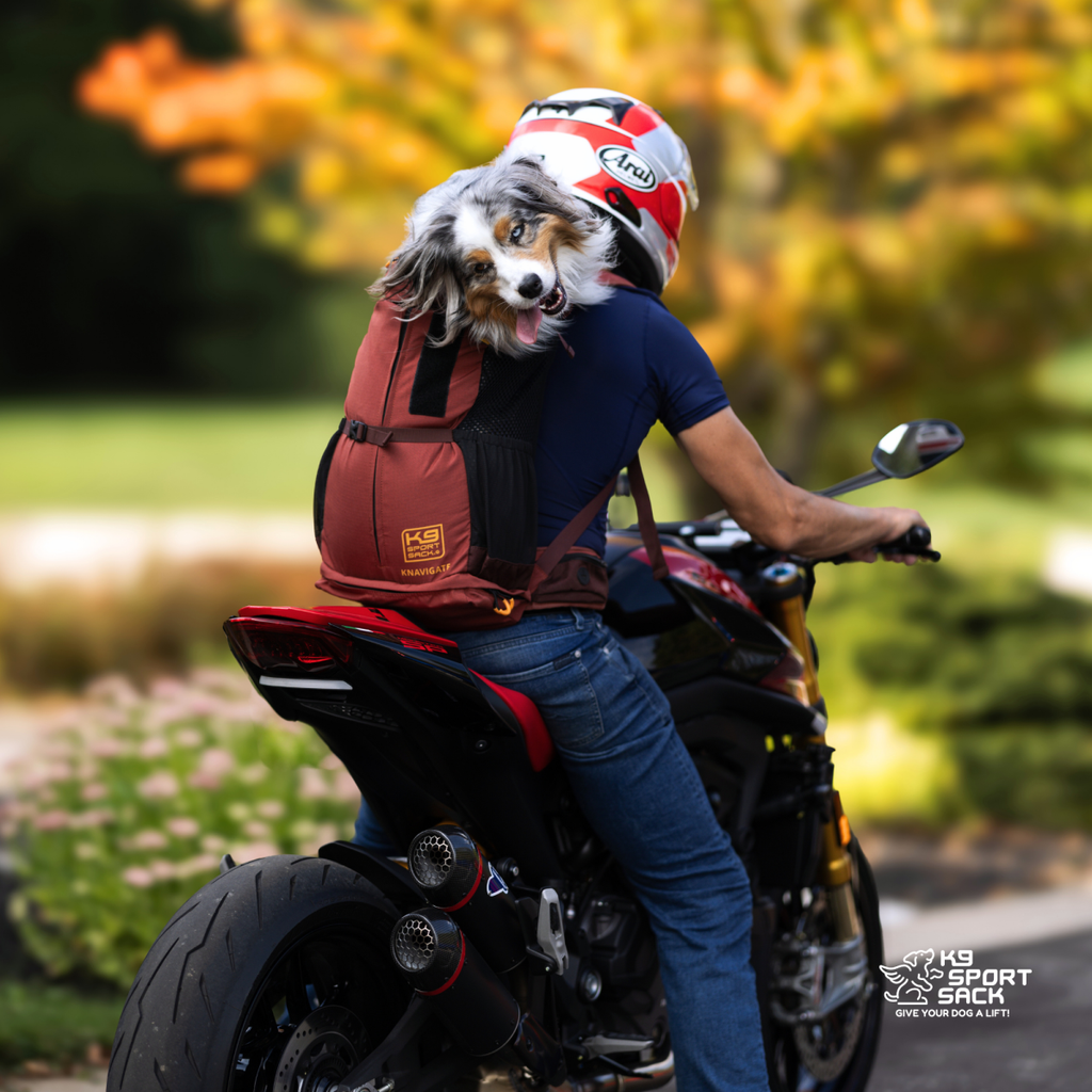 Person riding a motorcycle with a dog in a backpack, surrounded by trees with autumn foliage.