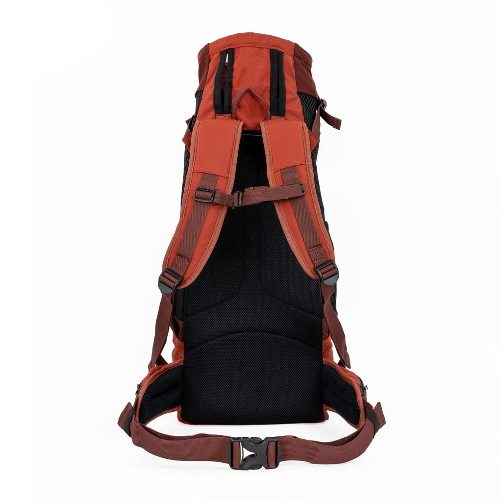 Orange and black backpack on a white background