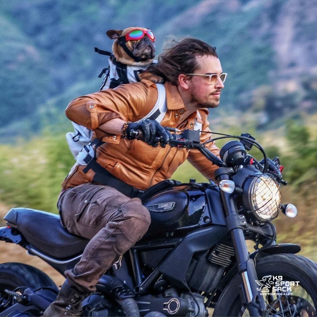 Man riding a motorcycle with a dog on his shoulders against a mountainous background