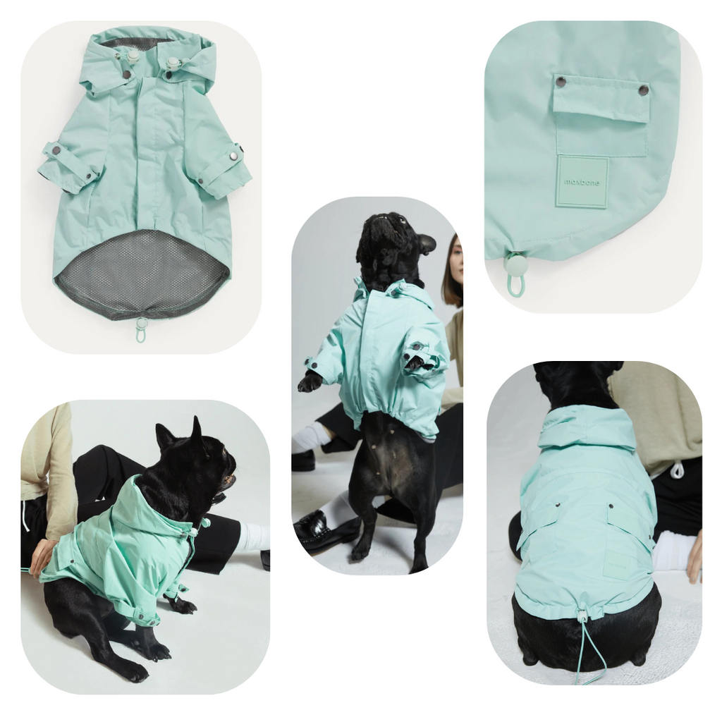 Best Dog Raincoat Maxbone's top-selling Talon Raincoat gets a fresh makeover for the spring! This classic raincoat silhouette is made out of water repellant fabric and features adjustable pull chords, snap button closure, a leash/harness opening and a removable hood. Available in the classic raincoat color, Yellow, and a fresh new color for Spring - Mint!