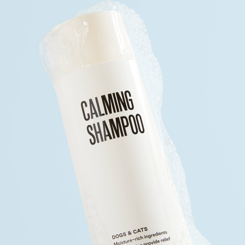 Shampoo bottle labeled 'Calming Shampoo' for dogs and cats on a light blue background