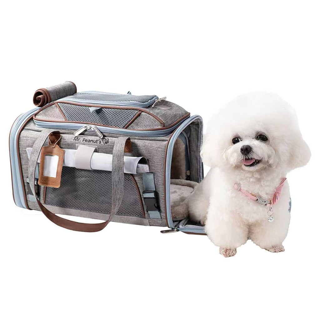 A gray and blue pet carrier bag with brown straps, shown next to a small white fluffy dog wearing a pink collar on a plain white background.