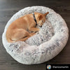A light brown dog sleeping curled up inside a round, fluffy gray faux fur pet bed on a dark wood floor.