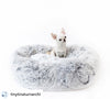 Small white dog sitting on a fluffy gray pet bed with a plain background