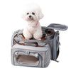 A small white fluffy dog sits on a gray and blue pet carrier bag with brown handles, shown against a plain white background.