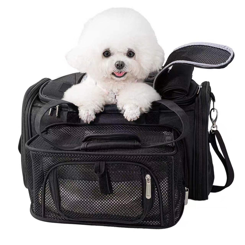A small white fluffy dog sits inside a black pet carrier bag with mesh pockets and side straps, photographed on a plain white background.
