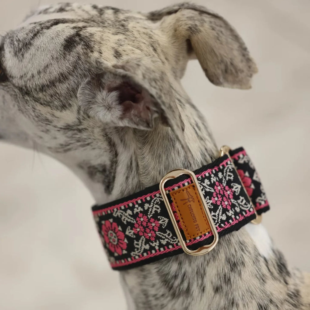 A close-up of a dog wearing a decorative woven collar. The collar has a black base with pink and white floral embroidery, a gold-tone metal buckle, and a tan leather brand patch that reads 'The Dog Collar Company'.