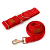 Red dog leash with gold hardware on a white background