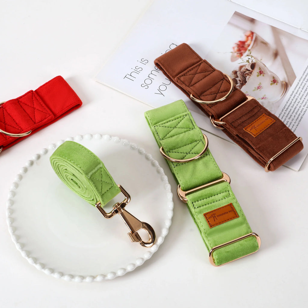 Two dog collars, one green and one brown, with gold hardware on a white surface.