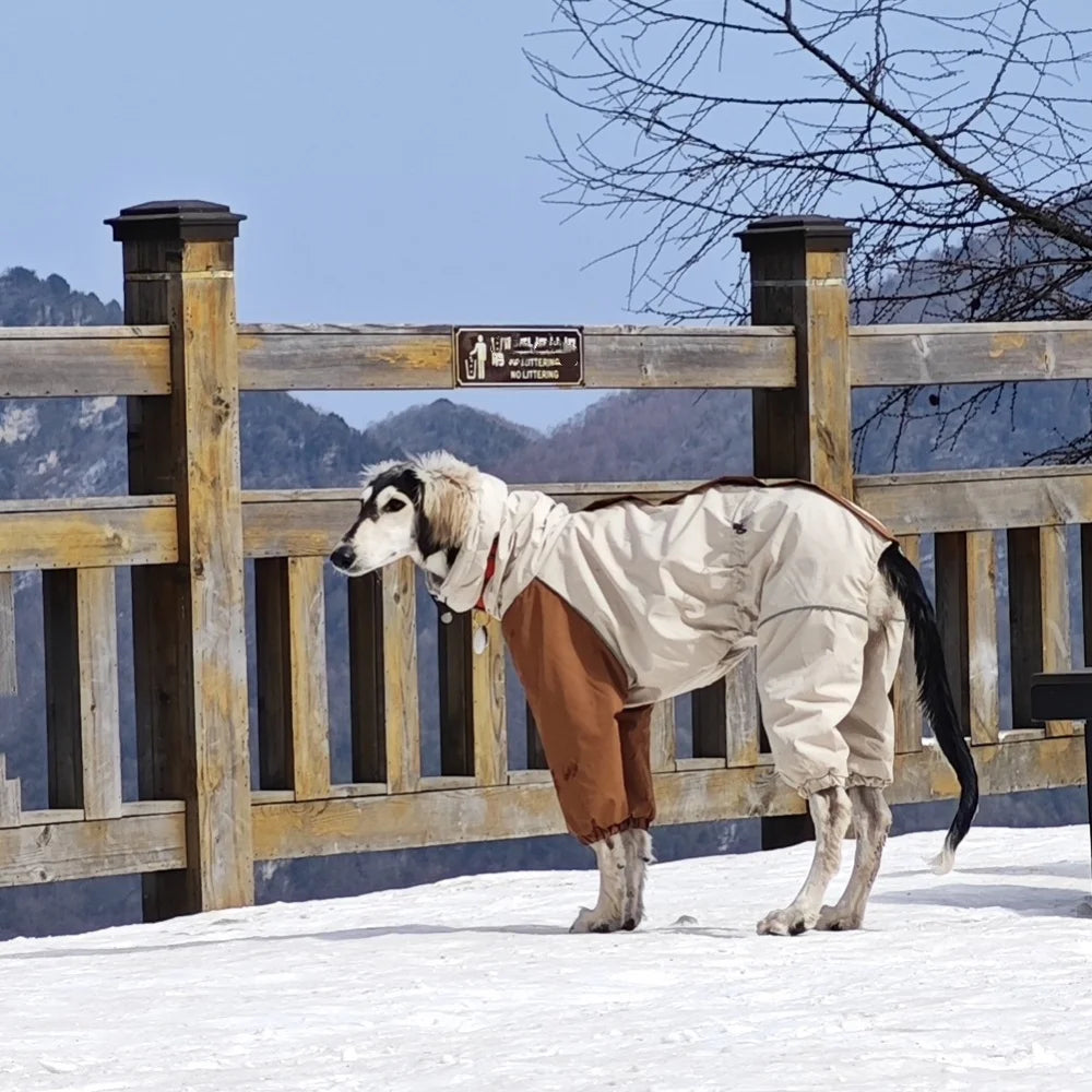 Dog in a white coat standing on a snowy ground with a wooden fence and mountainous background.