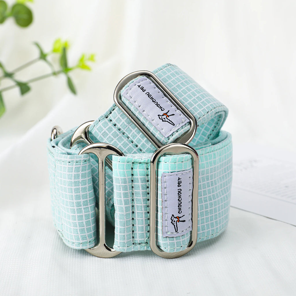 Light blue pet collar with silver hardware on a white background