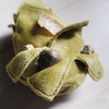 Close-up of a green plush dog toy with a white background