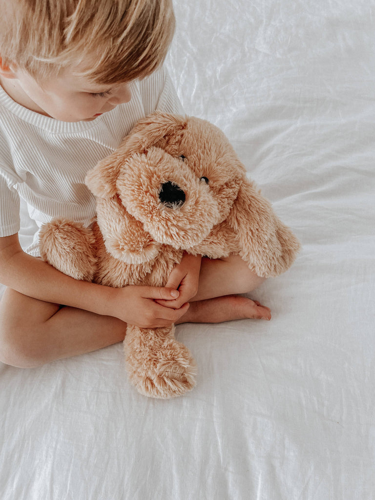 Charlie the weighted dog with child