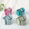 Four dog collars in pink, green, and blue on a light background with a plant.